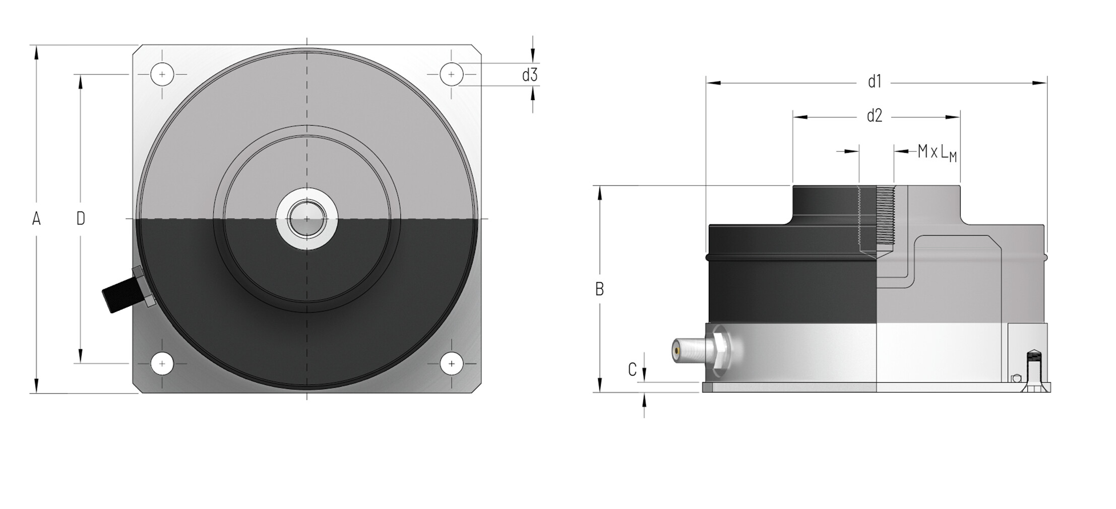 PLM-12