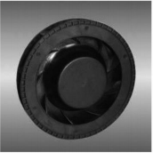 BGN10025