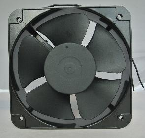 IGE20060