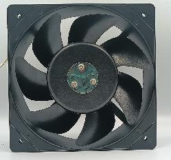 IGE20572