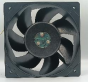 IGE20572