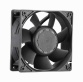 AGD12038