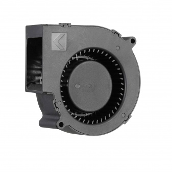 BGF09733