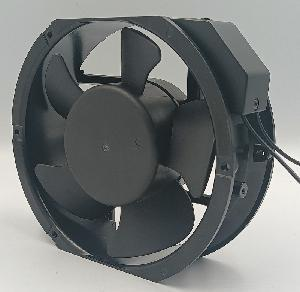 IGE17255