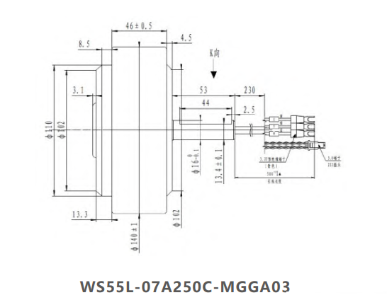 WS55L-07A250C-MGGA03